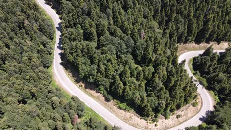 Metraje-De-Drone-De-Camino-En-Zigzag-Entre-Bosque