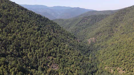 Epische-Grüne-Bergwaldluftaufnahme
