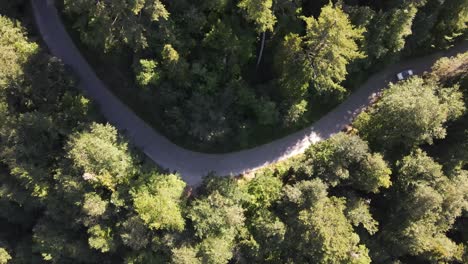 Drone-Footage-Of-Zigzag-Road-Between-Forest-4