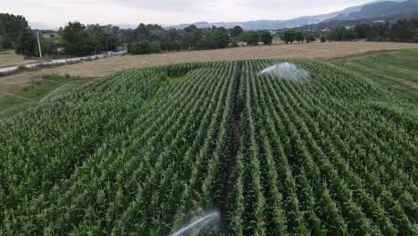 Bewässerung-Landwirtschaftlicher-Betriebe