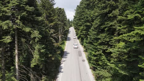 Asphalt-Road-With-Green-Forest-Aerial-View