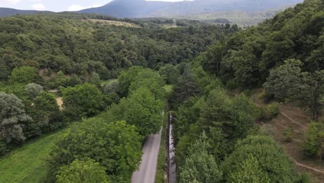 Carretera-Asfaltada-Con-Bosque-Verde-En-Ambos-Lados-1