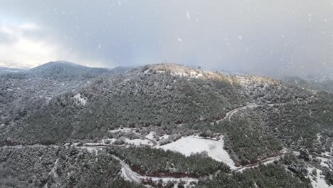 Winter-Forest-Mountains-Snow-Aerial-Drone