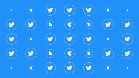 Animation-Motion-icons-of-Twitter-social-network-on-simple-background