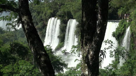 Iguazu-Falls-Argentina-and-tree-trunks