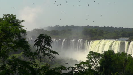 Cataratas-Del-Iguazú-Argentina-Pájaros-Vuelan-Por-Encima-De-Las-Cataratas