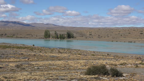 Argentina-Patagonia-árboles-En-Río-Santa-Cruz