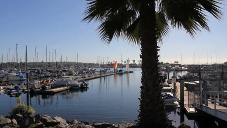 California-San-Diego-boat-docks