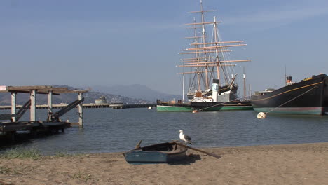 San-Francisco-California-gull-on-row-boat