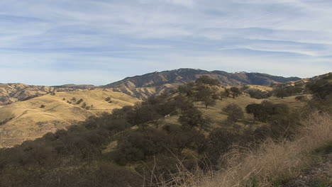 California-winter-hills-with-oaks