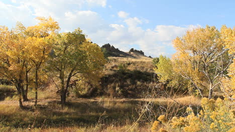 Colorado-Devil's-Hogback-view