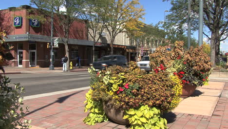 Colorado-Fort-Collins-street-with-flowers