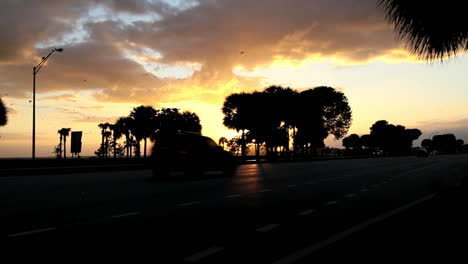 Florida-Miami-Verkehr-Bei-Sonnenuntergang-Mit-Vögeln.mov