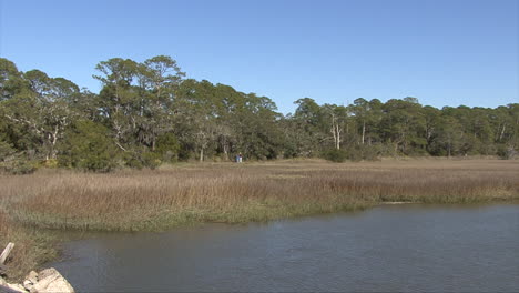 Florida-lagoon-by-a-marsh-with-woods-beyond
