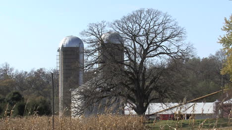 Illinois-silos