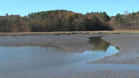 Maine-tidal-stream-and-mudflat-at-Wiscasset