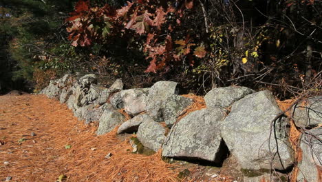 Massachusetts-New-England-Steinmauer-Und-Blätter