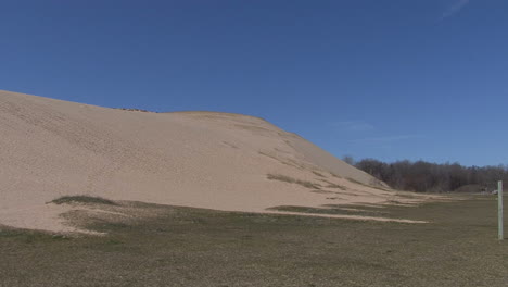 Michigan-sand-dune-and-forest