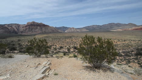 Red-Rock-Canyon-Nevada-Mit-Kreosotbusch