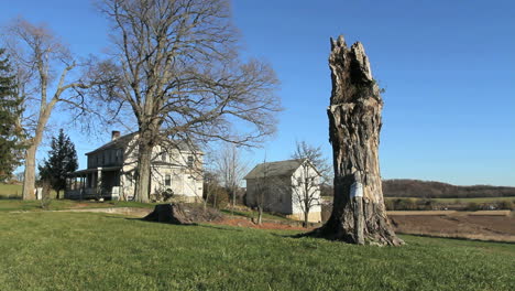 Pine-Island-New-York-house-and-tree