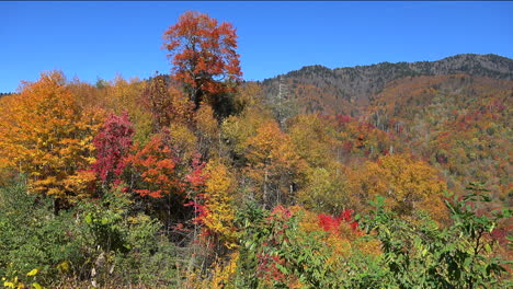 North-Carolina-Appalachen-Herbstfarbe-Pfanne-Links