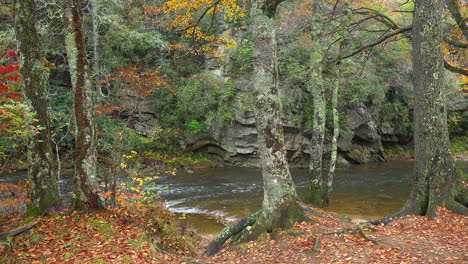 North-Carolina-Appalachian-river-with-trees-on-bank.mov