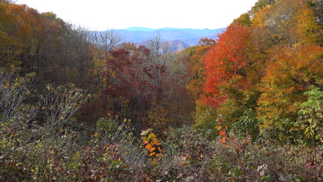 North-Carolina-Great-Smoky-Mountains-In-Der-Herbstpfanne