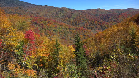 North-Carolina-Smoky-Mountain-Herbstfarbe