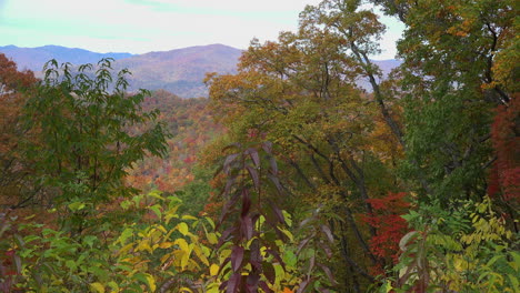 North-Carolina-Smoky-Mountains-Thomas-Teilung-Mit-Herbstlaub-Zoom-In