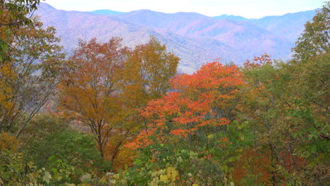 North-Carolina-Smoky-Mountains-Jenseits-Von-Herbstbäumen
