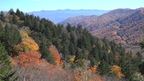 North-Carolina-Smoky-Mountains-mixed-forest