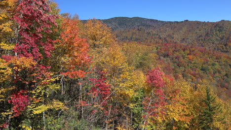 North-Carolina-Bunte-Herbstpfanne