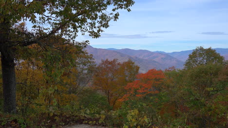 North-Carolina-Bunte-Herbstbäume