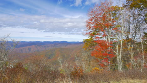 North-Carolina-Rote-Blätter-Am-Baum-Mit-Blick-Auf-Die-Rauchigen-Berge