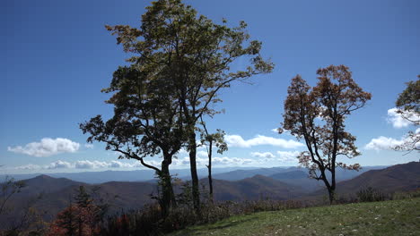 North-Carolina-Bäume-Und-Himmel-In-Den-Appalachen.mov