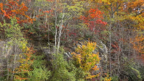 North-Carolina-Lebendige-Herbstfarben