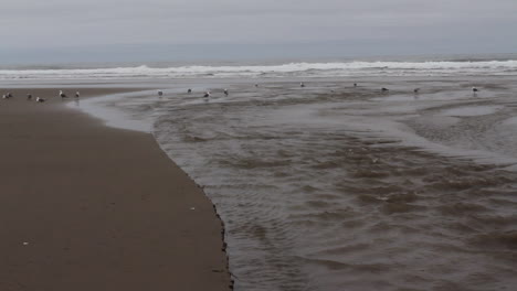 Oregon-Küstenstrom,-Der-Bei-Ebbe-Ins-Meer-Fließt