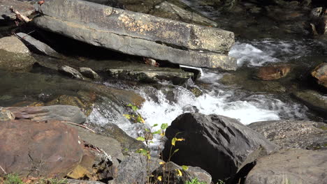 Tennessee-Stromschnellen-Fließen-über-Felsen