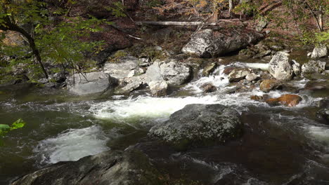 Tennessee-Smoky-Mountains-rapidly-flowing-stream-over-rocks