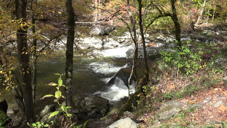 Tennessee-Smoky-Mountains-rapids-in-a-woodland-stream