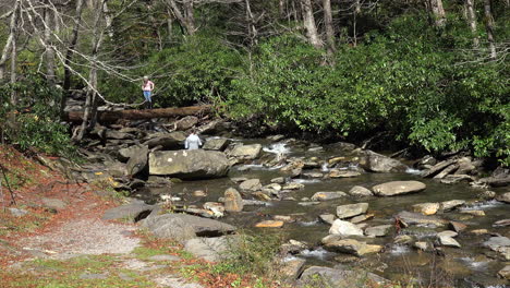 Tennessee-Smoky-Mountains-stream-and-tourists