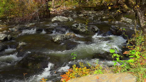 Tennessee-Smoky-Mountians-beautiful-stream