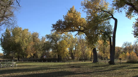 árboles-De-Wyoming-Fort-Laramie-Park