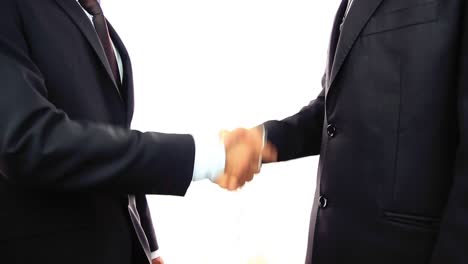 Two-Businessmen-Shaking-Hands