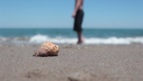 Sand-And-Seashell-With-Waves-Background