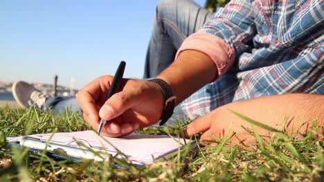 Writing-Diary-Notebooks-Grass
