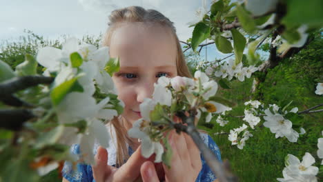 A-Child-Admires-The-Flowers-On-A-Blossoming-Apple-Tree