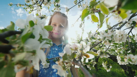 A-Child-Admires-The-Flowers-On-A-Blossoming-Apple-Tree-1