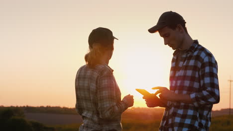 Colleagues-Of-Farmers-Communicate-In-The-Field-Use-A-Tablet