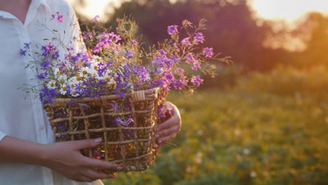 Woman-walks-in-a-field-with-a-basket-of-wild-spring-flowers